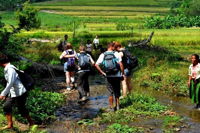 4-Day Jungle Trekking in Ba Be National Park - Trekking Days That Actually Make You Work (Total 25 km)