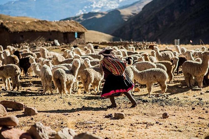 4-Day Lares Trek to Machu Picchu - Lares Trek vs. the Usual Machu Picchu Route