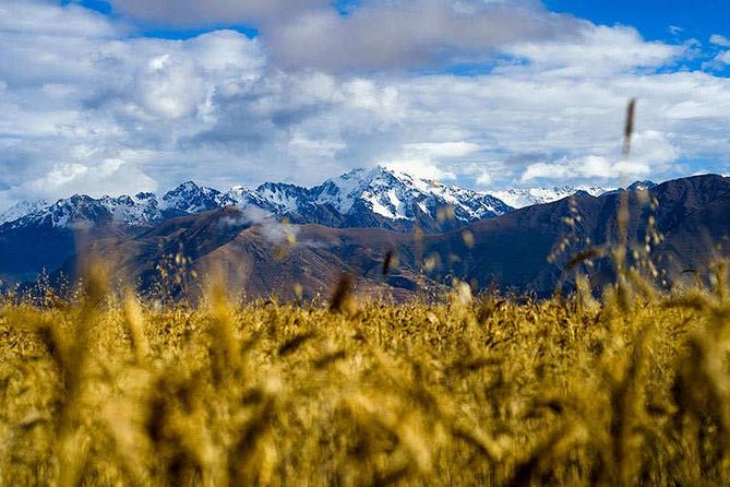 4-Day Lares Trek to Machu Picchu - Day 4: Morning Machu Picchu Entry, Guided Highlights, and Optional Mountain Views