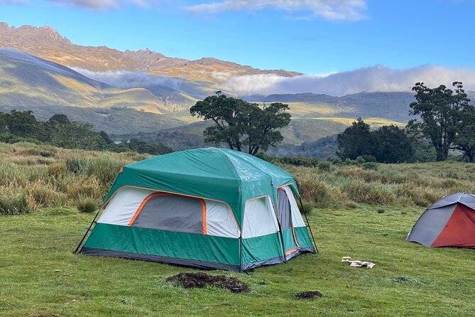 4 Day Mount Kenya Trek Up Chogoria Down Sirimon - The Guide Team: Knowledge, Pace, and Real Organization