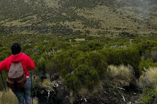 4-Day Mount Kenya Trekking with Pick Up - Day 1 to Old Moses (3,300m): the perfect first camp test
