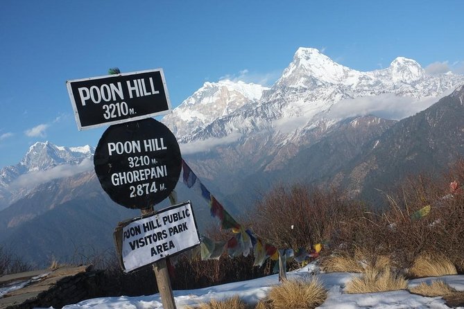 4-day Poon Hill Trek - What teahouses and meals really mean for your day-to-day experience