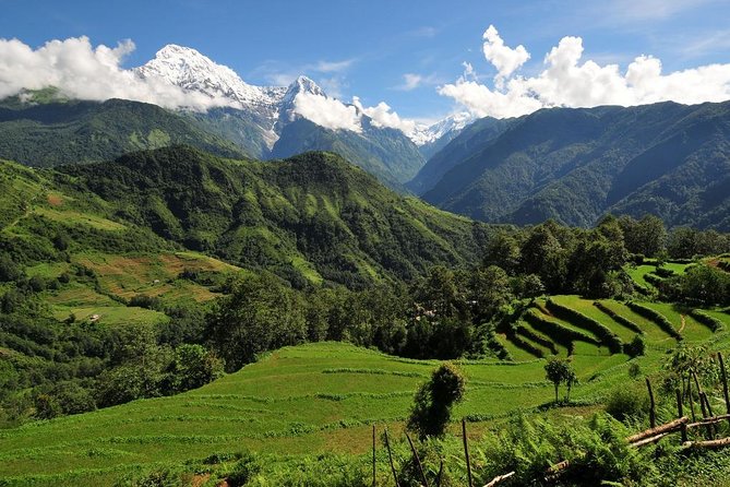 4-day Poon Hill Trek - The guide experience: why Purna’s name keeps showing up