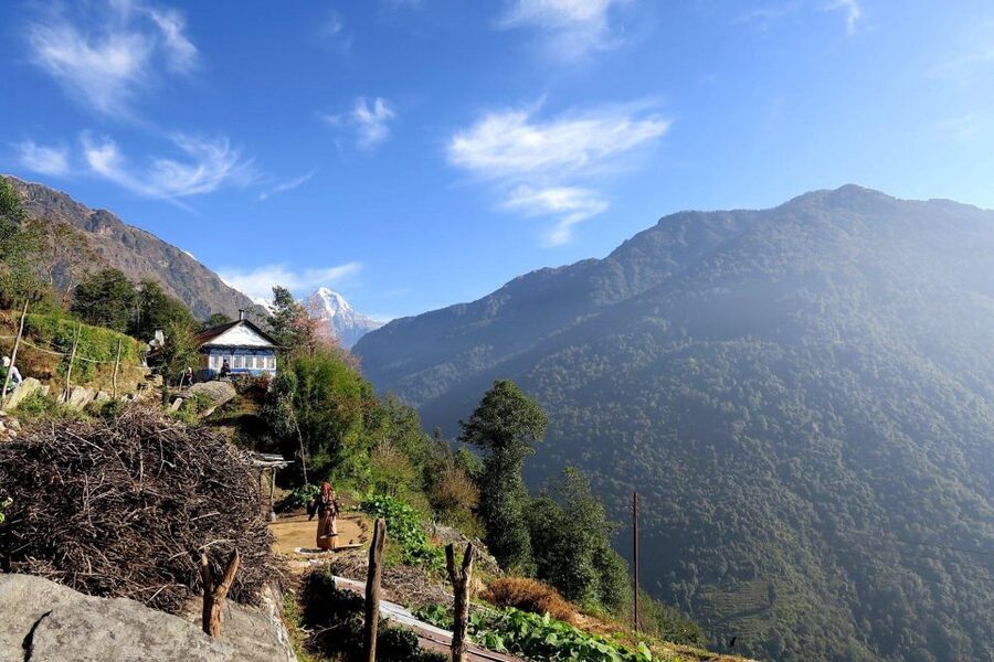 4 Day Poon Hill Trek from Pokhara - Day 4: Tadapani to Ghandruk (1,940m) and the Drive Home