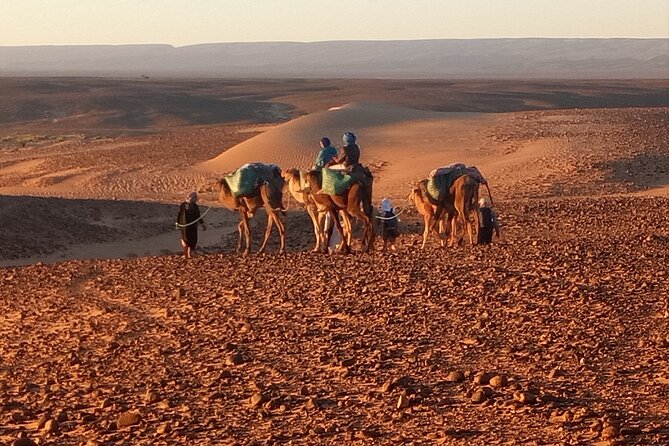 4 Day Private Desert Trek from M'Hamid to Chegaga - Key things to know before you go