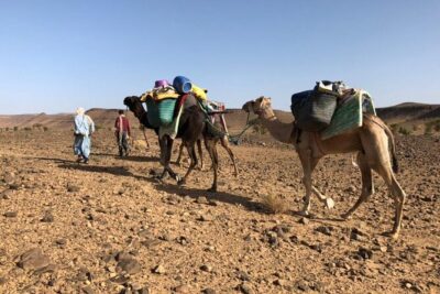 4 Day Private Desert Trek from M'Hamid to Chegaga - The 9:00 Meeting and Camel-Loading Start: Where Your Trip Really Begins