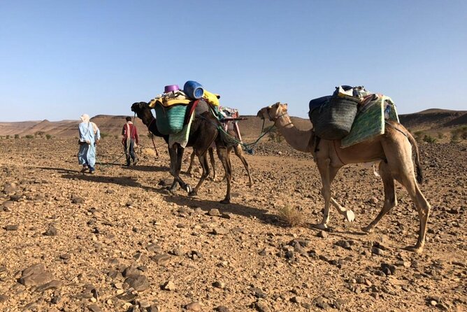 4 Day Private Desert Trek from M'Hamid to Chegaga - The 9:00 Meeting and Camel-Loading Start: Where Your Trip Really Begins