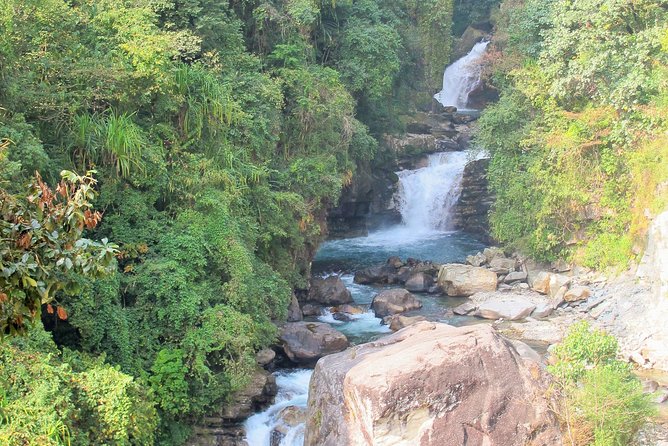 4-Day Private Poon Hill Trekking Tour - Day 4: Annapurna South and Hiunchuli from Your Lodge Terrace