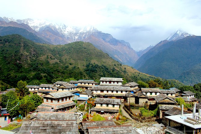 4-Day Private Trekking Experience to Poon Hill and Ghandruk - The guide team and private comfort: why this feels safer (and more fun)