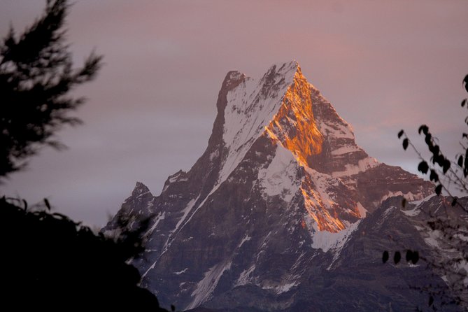 4-Day Private Trekking Experience to Poon Hill and Ghandruk - Ghorepani’s rhododendron day: flowers, fields, and big-peak names
