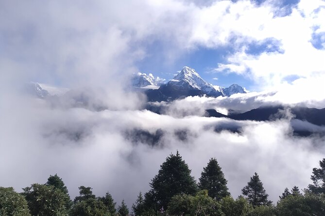 4-Days Amazing Short Trekking of Pokhara Valley - Should you book this 4-day Poon Hill trek?