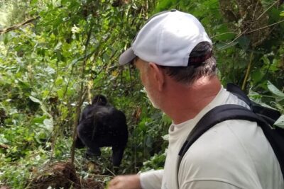 4 Days Gorilla and Chimps trek safari - Day 1: Kampala to Bwindi via the Equator and Mbarara lunch stop