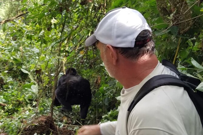 4 Days Gorilla and Chimps trek safari - Day 1: Kampala to Bwindi via the Equator and Mbarara lunch stop