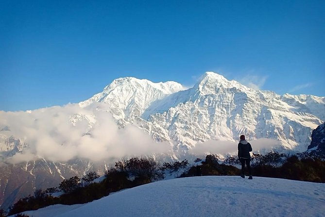 4 Days Mardi Himal Base Camp Trek - 4500 Meters - Guide and Group Size: Private Trip Feel Without the Hassle
