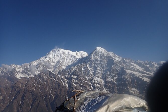 4 Days Mardi Himal Base Camp Trek from Pokhara - Day 3: The 4:00am viewpoint run, base camp time, and the return to Low Camp
