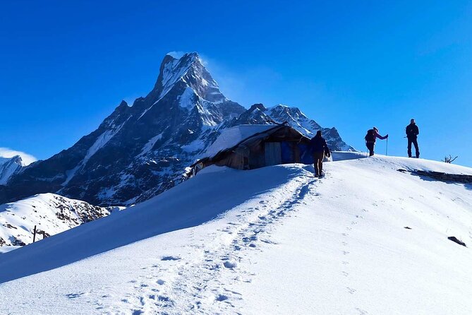 4 Days Mardi Himal Base Camp Trekking in Pokhara - Why Mardi Himal Base Camp Feels Like a Manageable Mountain Adventure