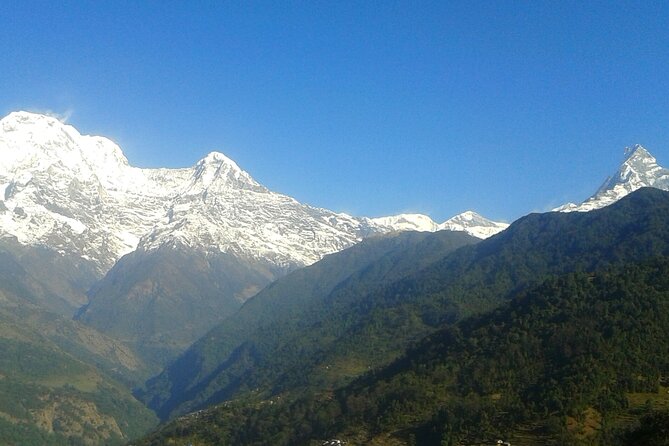 4 Days Mardi Himal Base Camp Trekking in Pokhara - Forest Camp to High Camp: Rhododendron Forests and a View-First Climb