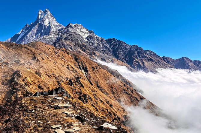 4 Days Mardi Himal Base Camp Trekking in Pokhara - The Mardi Himal Base Camp Morning: The Long Walk That Pays Off