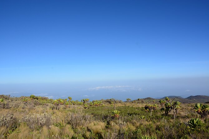 4 Days mount Elgon Trek, 4321m a.s.l - Getting there from Entebbe: early start, real travel time