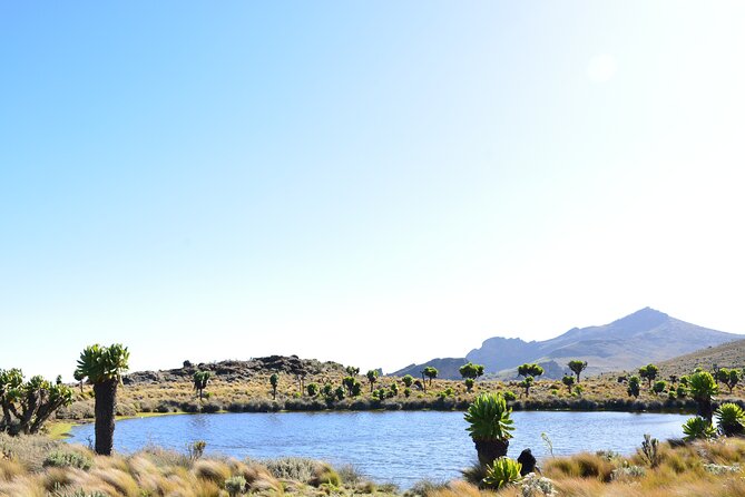 4 Days mount Elgon Trek, 4321m a.s.l - Day 4: Walking the crater and ending at Hunter’s Cave Camp