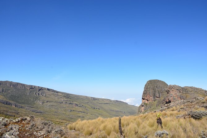 4 Days mount Elgon Trek, 4321m a.s.l - Wildlife, vegetation, and why Elgon feels less crowded