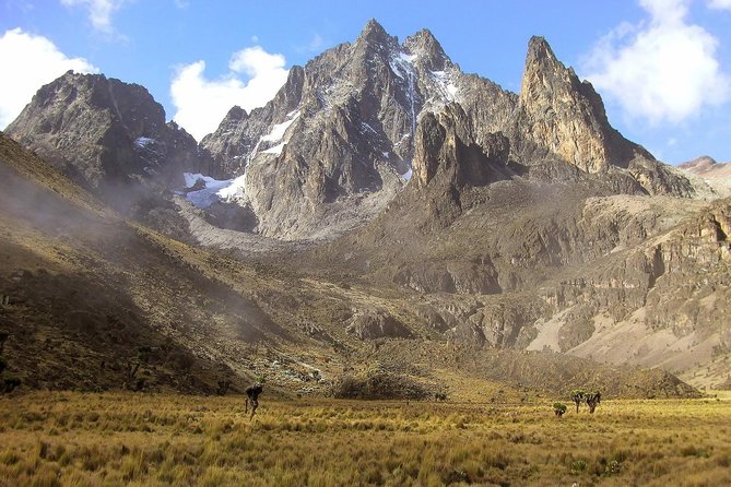 4 Days Mount Kenya Trekking - Key Highlights You’ll Feel on the Trek