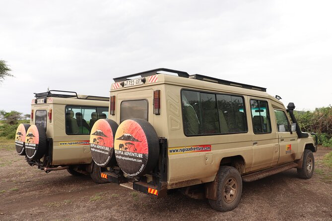 4 Days Mount Kenya Trekking - Who This Trek Fits Best (and Who Might Want a Different Plan)