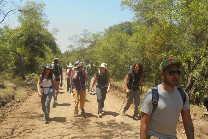 4 Days Mount Meru Climbing | Hiking | Trekking Tour - Day 4 Open Grassland Descent to Momela Gate (Wrapping Up Without the Full Stress)