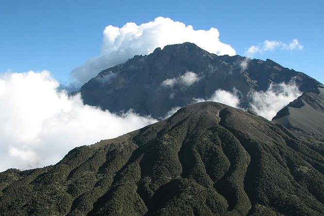 4 Days Mount Meru Trekking - Day 2: from steep wooden steps to Mgongo wa Tembo and Saddle Hut (3,550m)