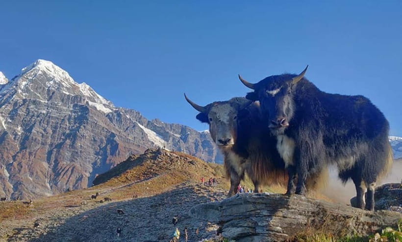4 Days Pikey Peak Trek : The Best View of Mt Everest - Lodges, food, and practicalities (cash, power, showers, and network)