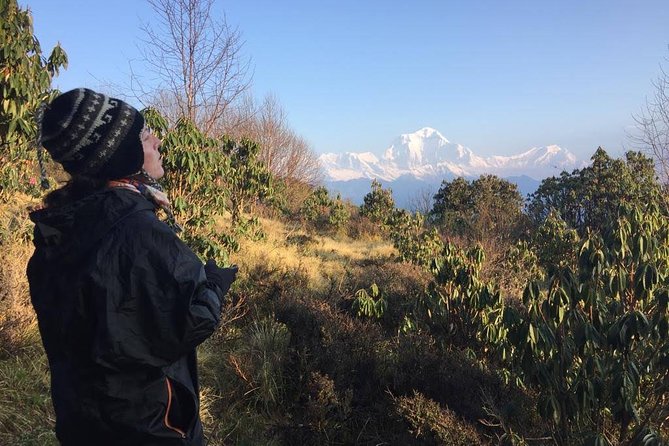 4 Days Poon Hill Trek - Who this 4-day trek really suits (and who should skip it)
