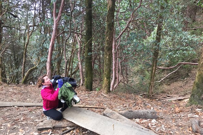 4 Days Poon Hill Trek - Price and value: why $405.13 can make sense here