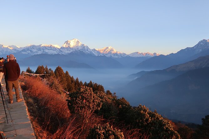 4 Days Poon Hill Trek from Pokhara - Why Poon Hill is still the smart 4-day choice