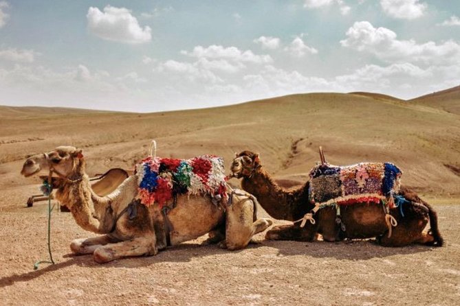 4 Days: Private Desert Tour from Marrakech to Merzouga & Camel Trek - Erg Chebbi dunes: camel trek and a real desert night