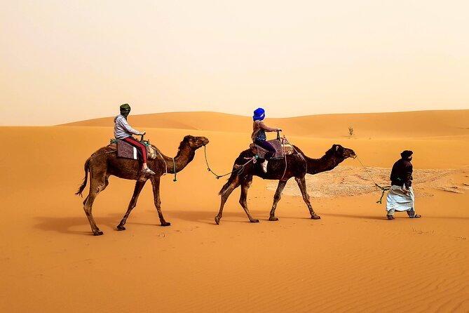 4 days trek - The legs of camels - Key highlights you’ll feel fast