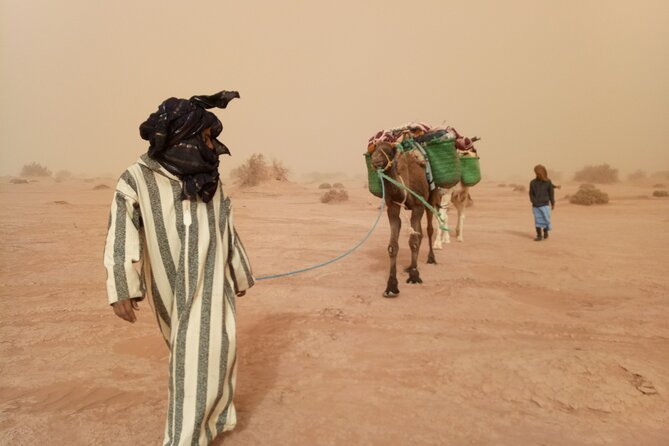 4 days trek - The legs of camels - Terrain you can plan for: hamadas to ergs to big dunes