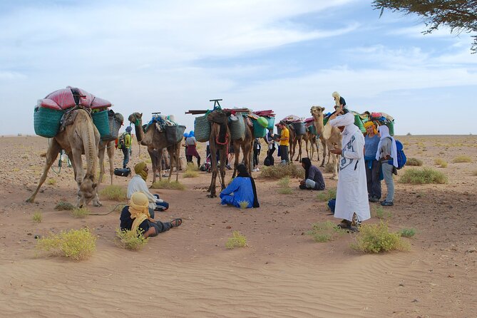 4 days trek - The legs of camels - Camp life: what you get, what you need, and why it matters