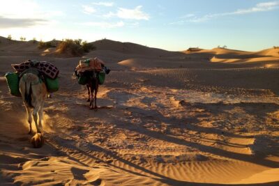 4 days trek - The legs of camels - The four-day rhythm: what each day tends to bring