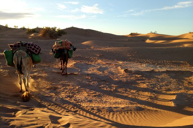 4 days trek - The legs of camels - The four-day rhythm: what each day tends to bring