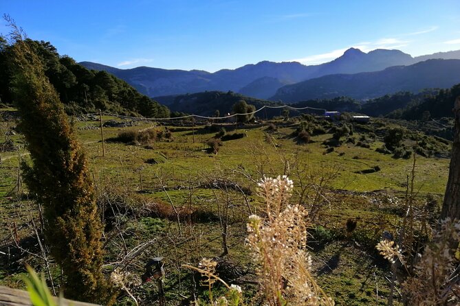 4 days trekking in the Rif mountains - Day 4: A Panoramic Finish Back Over Chefchaouen