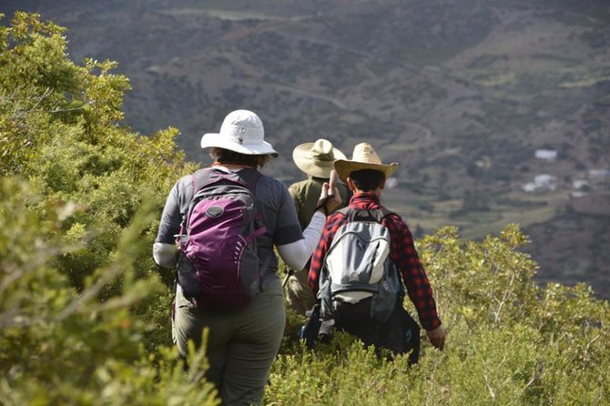4 days trekking in the Rif mountains - Price and Value: What $329.63 Per Person Actually Buys