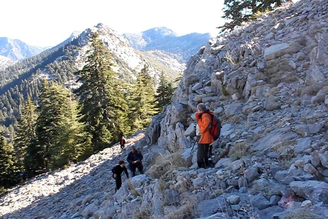 4 days trekking in the Rif mountains - Day 1: From the National Park Through Tissouka Fir Trees to Azilane