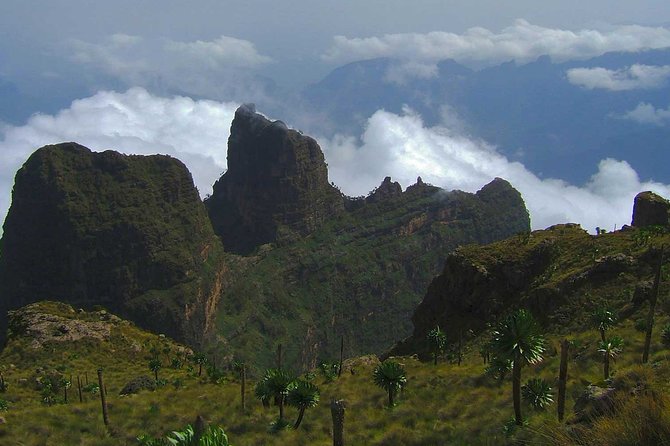 4 Days Trekking to Simien Mountain National Park - Who should book this trek, and who should skip it