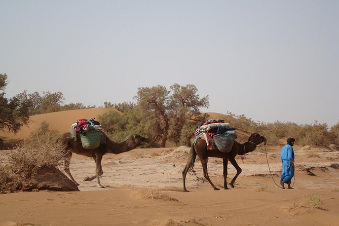 4 Days Trekking To The Heart Of Desert - Key highlights worth caring about