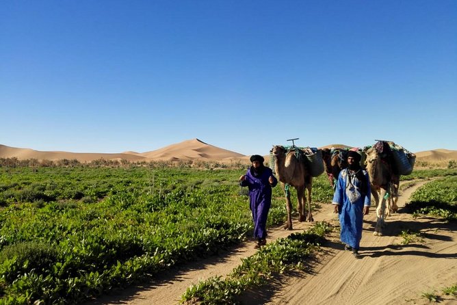4 Days Trekking To The Heart Of Desert - Days 3–4: what you should expect without overpromising