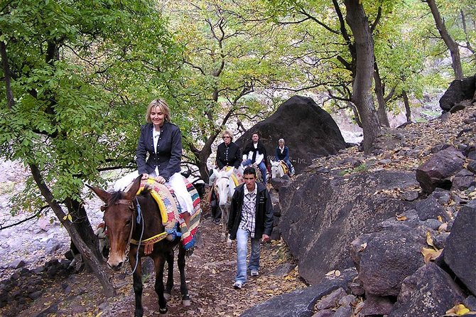 4 hours trekking in the Atlas mountains from Marrakech - Moulay Brahim gorges and the camel ride to Asni valley