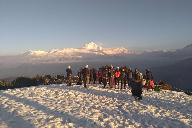 4Nights 5Days PoonHill Trek - The guide factor: Dadhi Ram Thapa and the difference it makes