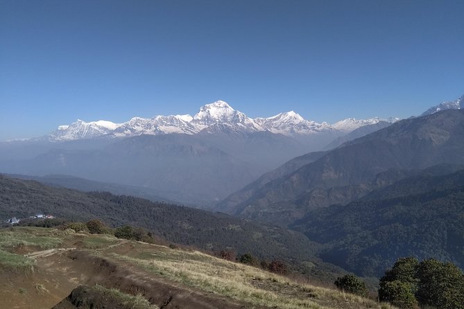 4Nights 5Days PoonHill Trek - Day 2: Ulleri to Ghorepani—green forest and mountain glimpses