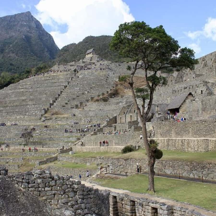 5-Day Classic Salkantay Trek to Machu Picchu return by Train - Day 5: Machu Picchu guided tour, optional Huayna Picchu, and the 2:55 PM train back