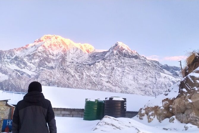 5 Day Mardi Himal Base Camp Trek in Pokhara - Price and logistics: does $230 feel worth it?